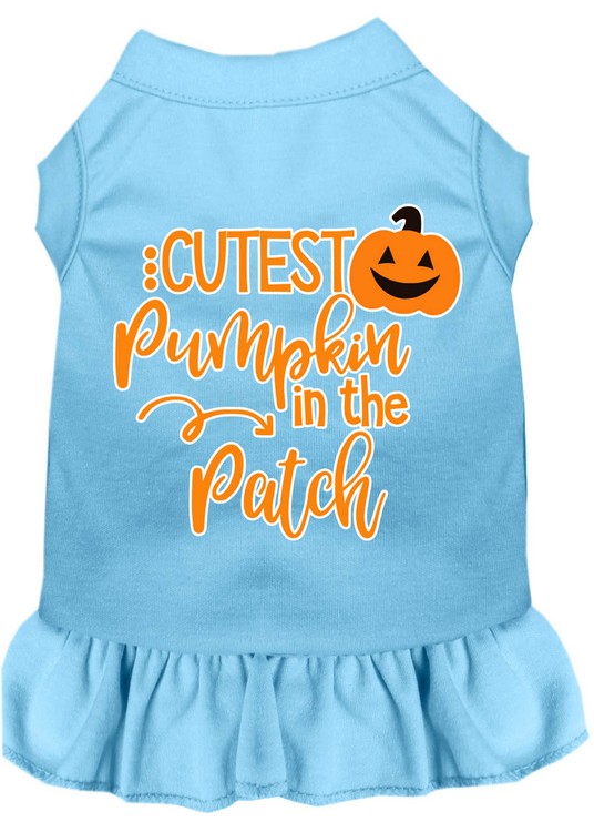 Cutest Pumpkin in the Patch Screen Print Dog Dress Baby Blue Med